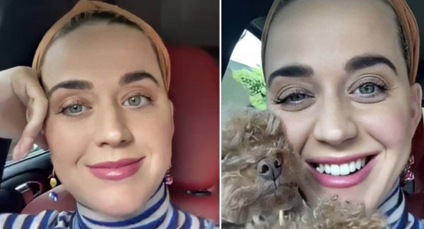 katy perry incinta musica